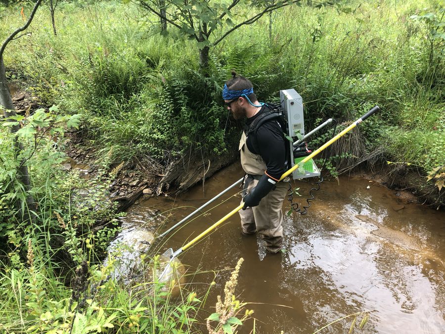Backpack electrofishing in a narrow stream