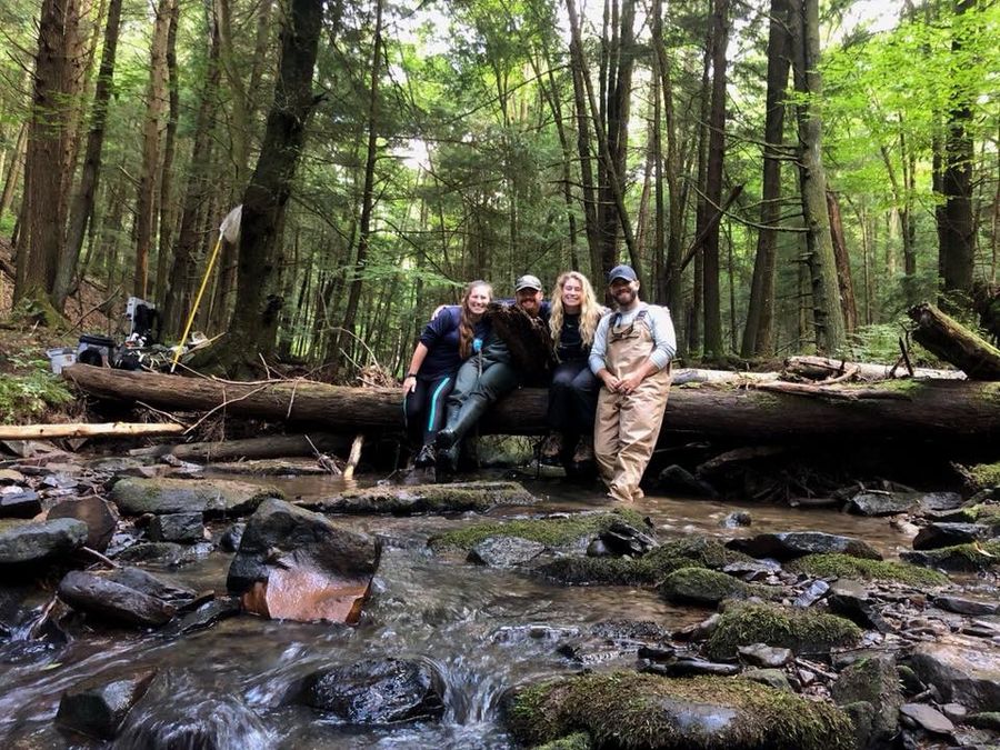 A survey crew sitting on a log over a rocky stream