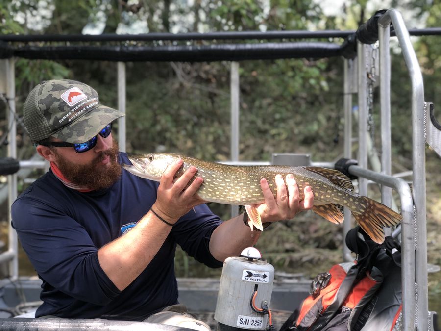 Holding a pike on a boat
