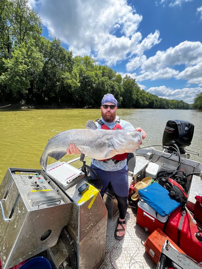 Mack holding a large Blue Catfish on an electrofishing boat