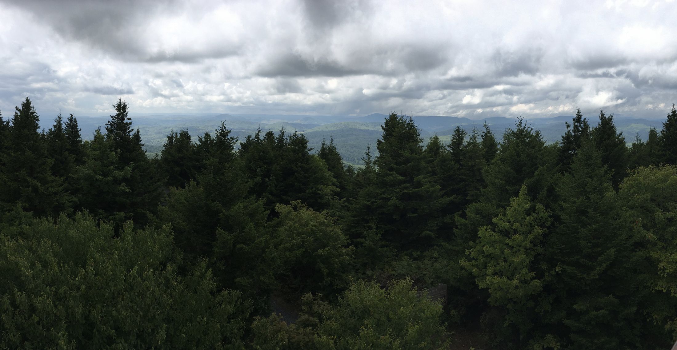 Forested ridgelines fading into cloud