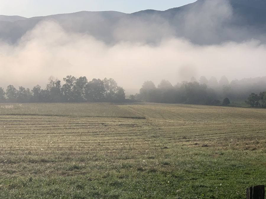 A foggy field in front of mountains